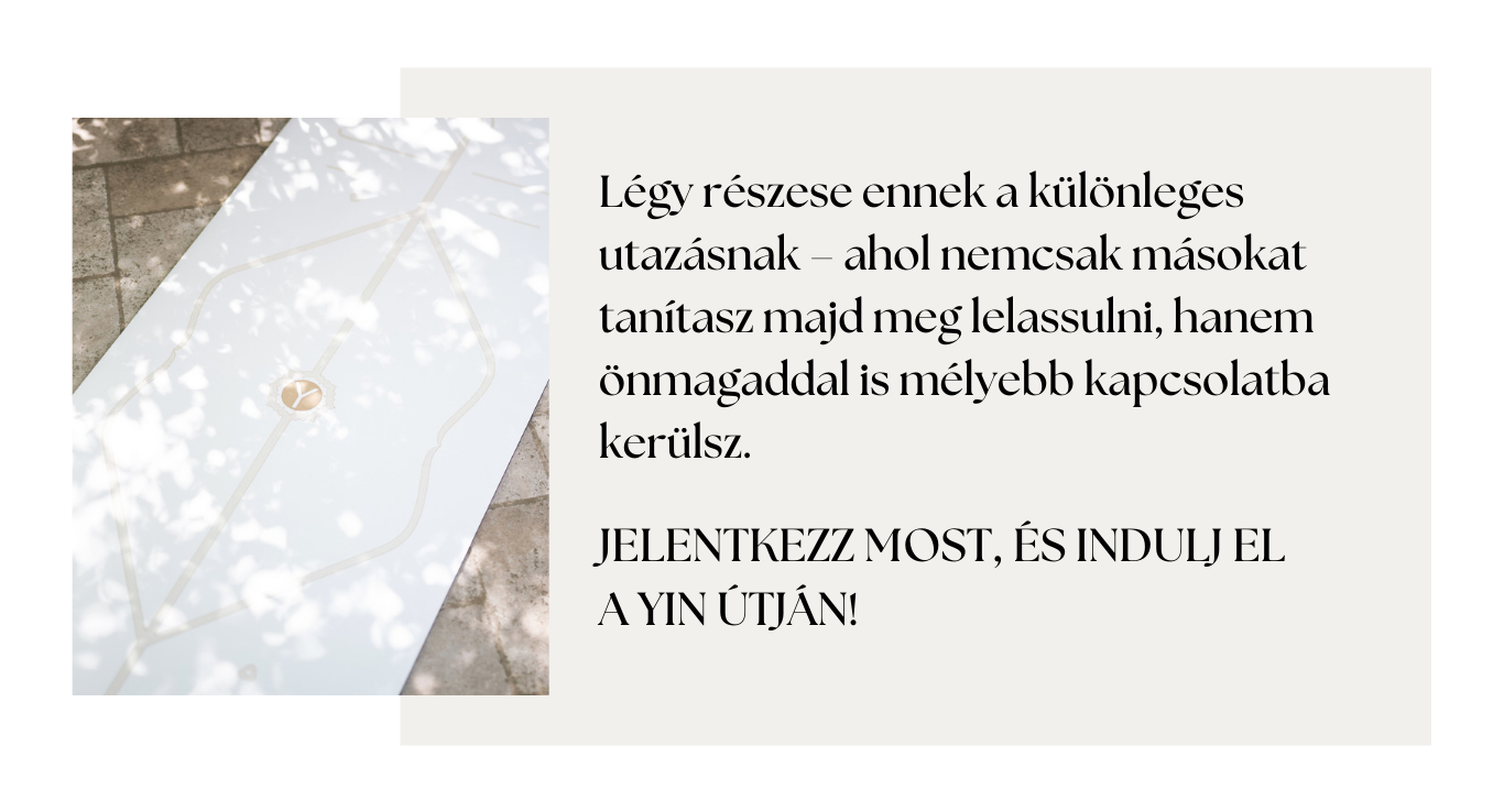 Légy részese a YIN képzésnek!